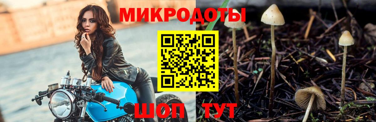 Кинель  Галлюциногенные грибы мицелий  Вход с VPN 