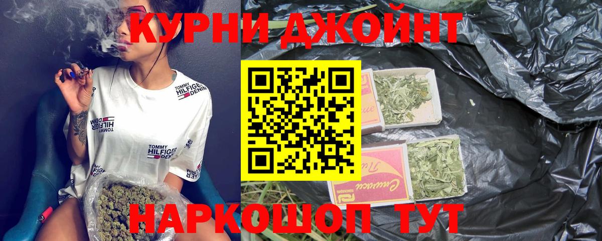Шишки марихуана план  Канабис OG Kush  Марихуана Ganja  Кинель  Вход с VPN 